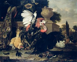 Pelea entre un gallo y un pavo de Melchior de Hondecoeter